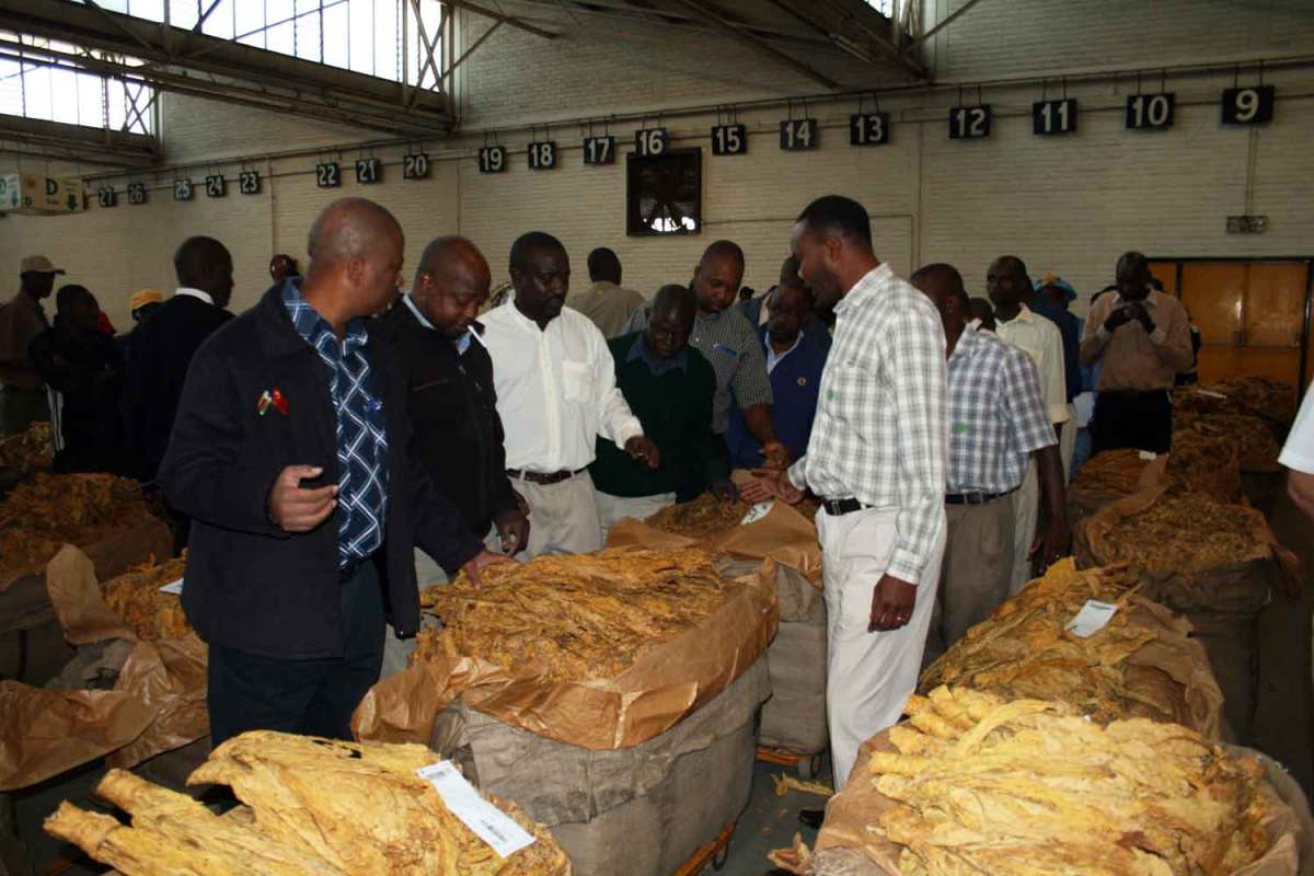 Zimbabwe to Wrap up Auction Sales