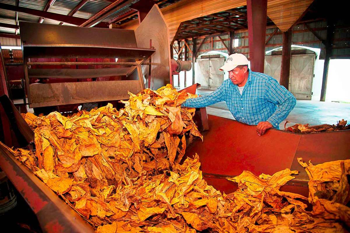 USTC Exits Bankruptcy