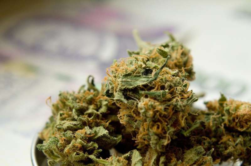 Estudio muestra que vapear acetato de cannabinoides conduce a la formación de gas mortal.
