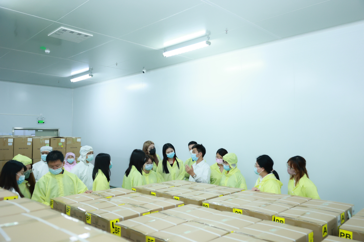 监管政策下，电子烟外贸商的成长与分化之路