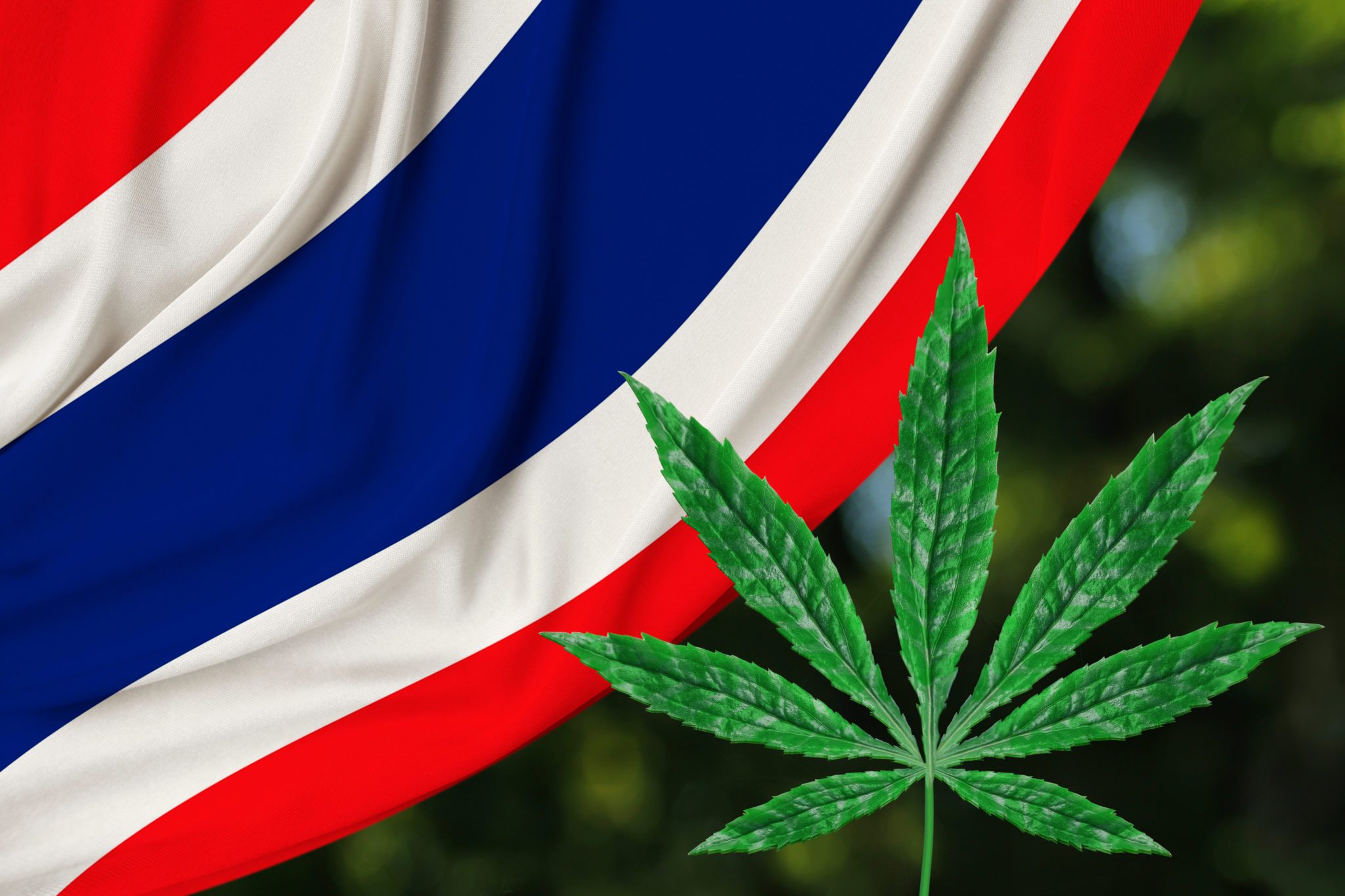 2FIRSTS | Thailand To Ban Sale Of Cannabis Vaping Products