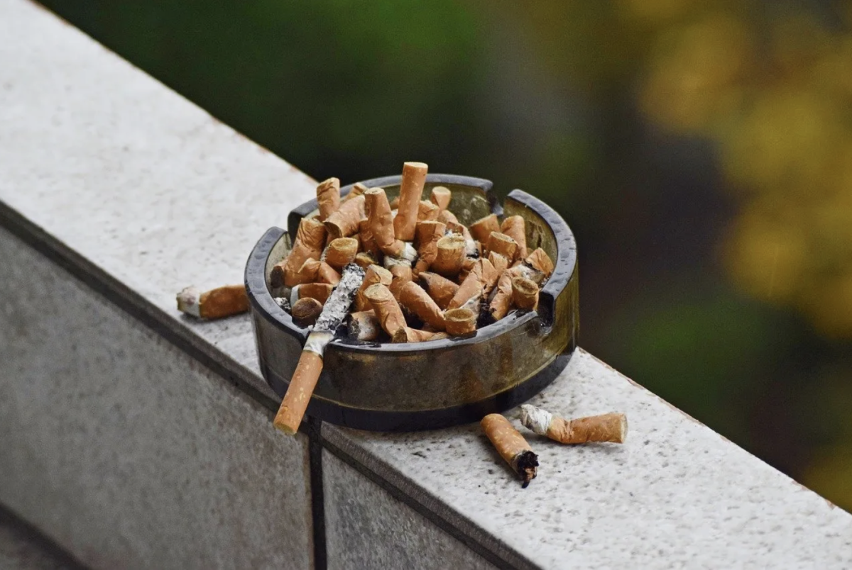 美国专家:减少香烟可挽救数百万人