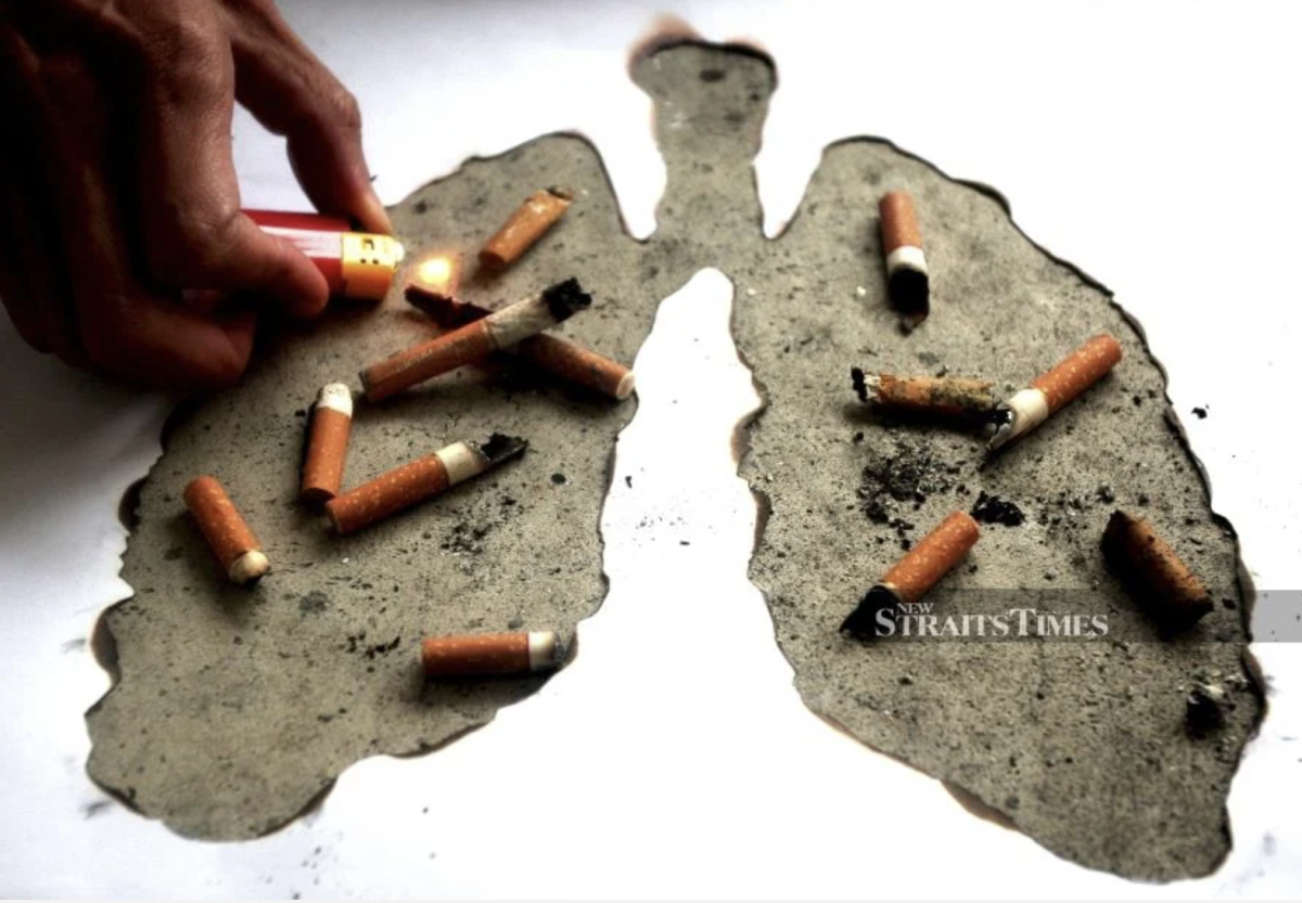 马来西亚国会被告知要遵循国王关于吸烟法案的建议