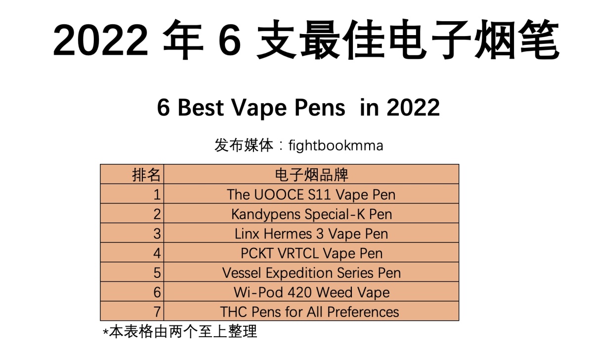 FIGHTBOOKMMA发布2022 年 6 支最佳电子烟