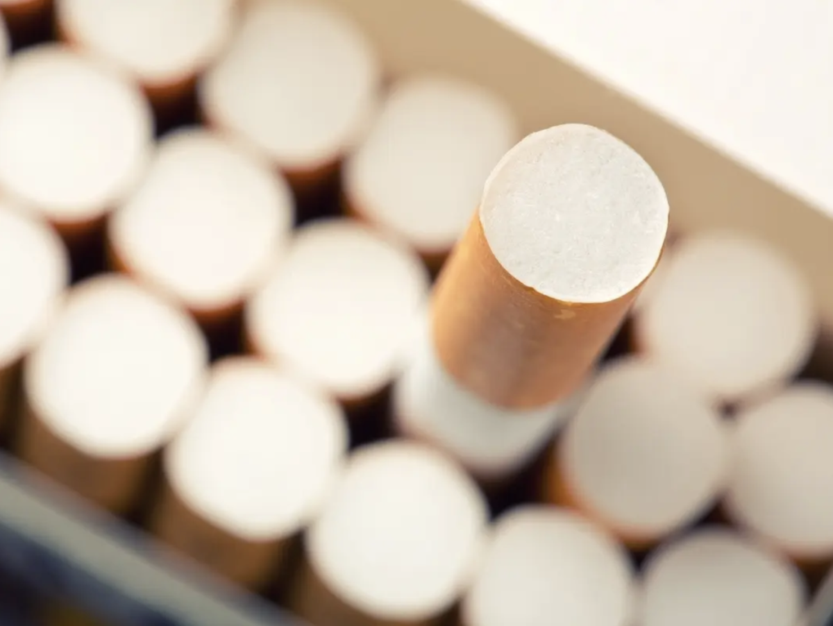 美国圣彼得堡拟议公园与海滩禁烟令