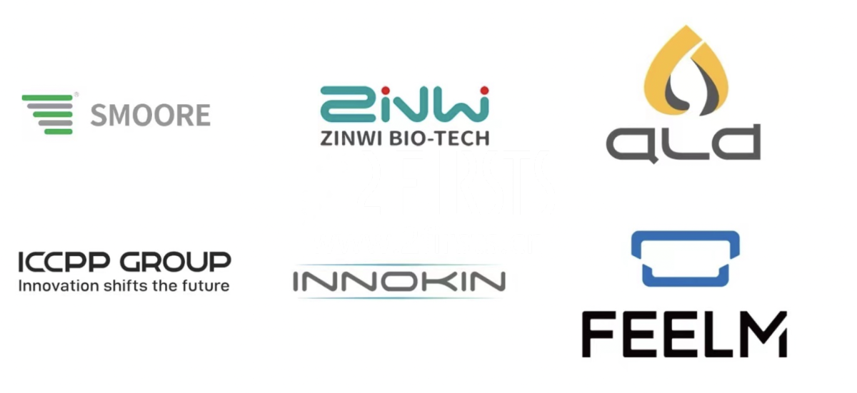 盘点受邀参与GTNF论坛的中国企业