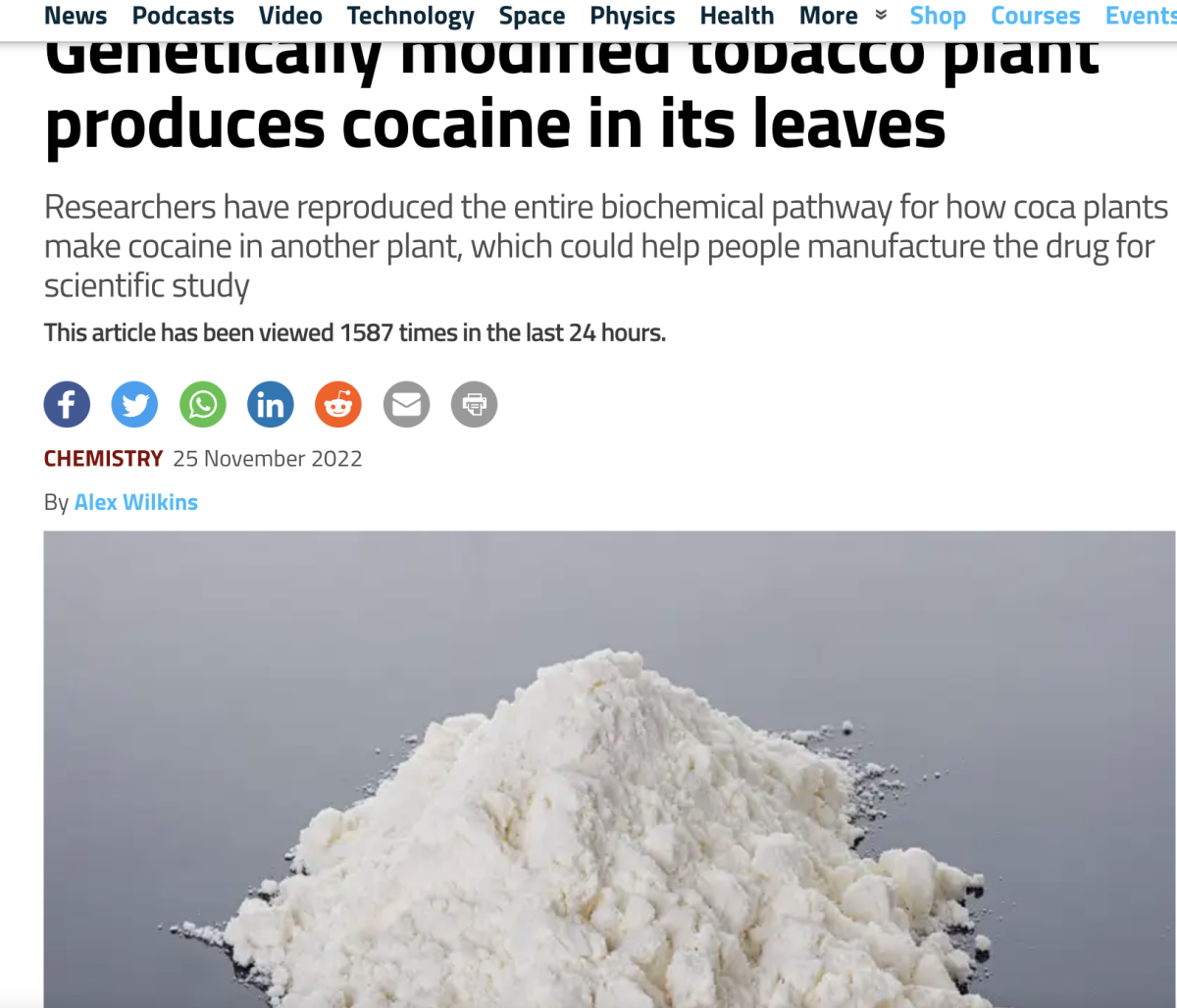 转基因烟草植物在其叶子中产生可卡因