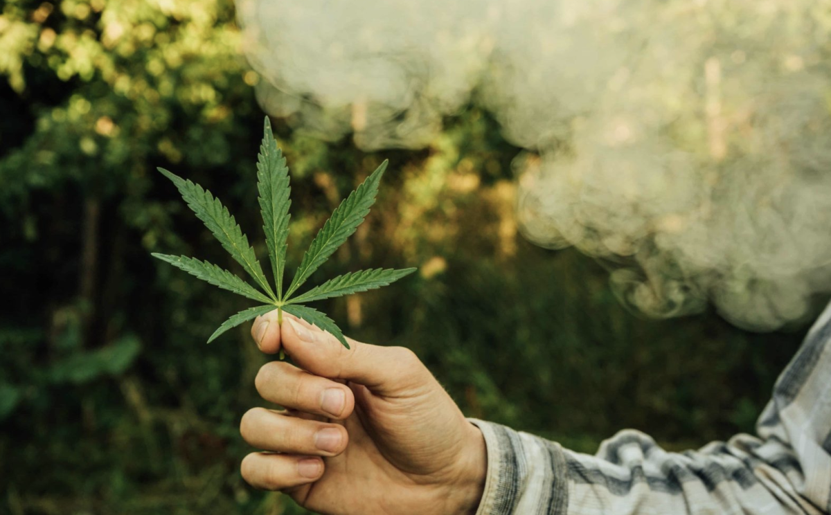 新墨西哥州一公司支持医用大麻患者获得工人赔偿