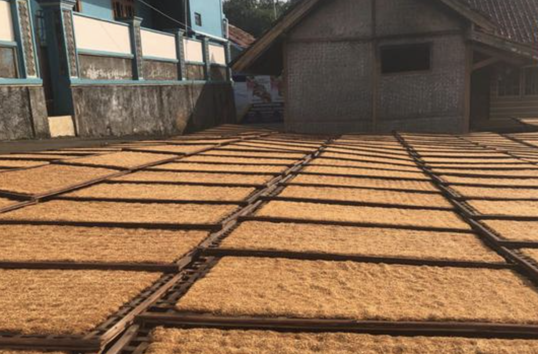 印尼工人要求外国人不要干涉本国烟草政策