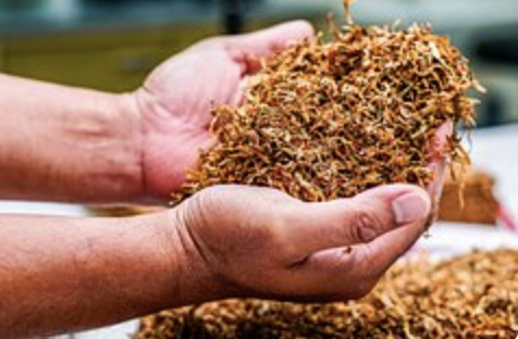 “诚实商店”项目将扩展到在线零售