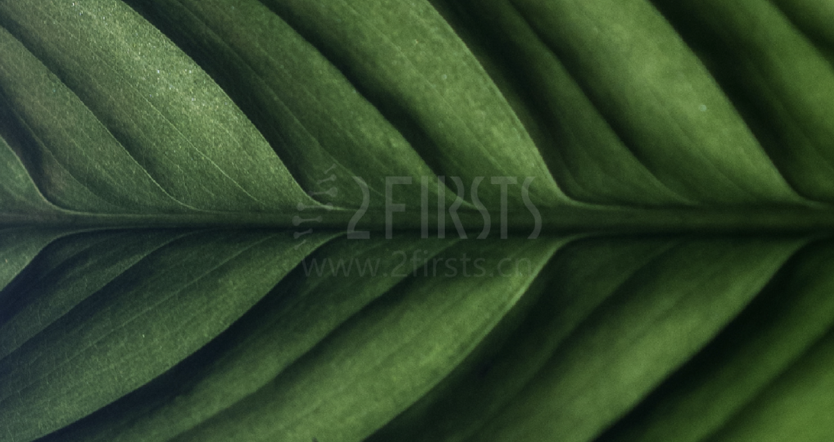 零尼、低尼产品或将成为市场增长新机遇?