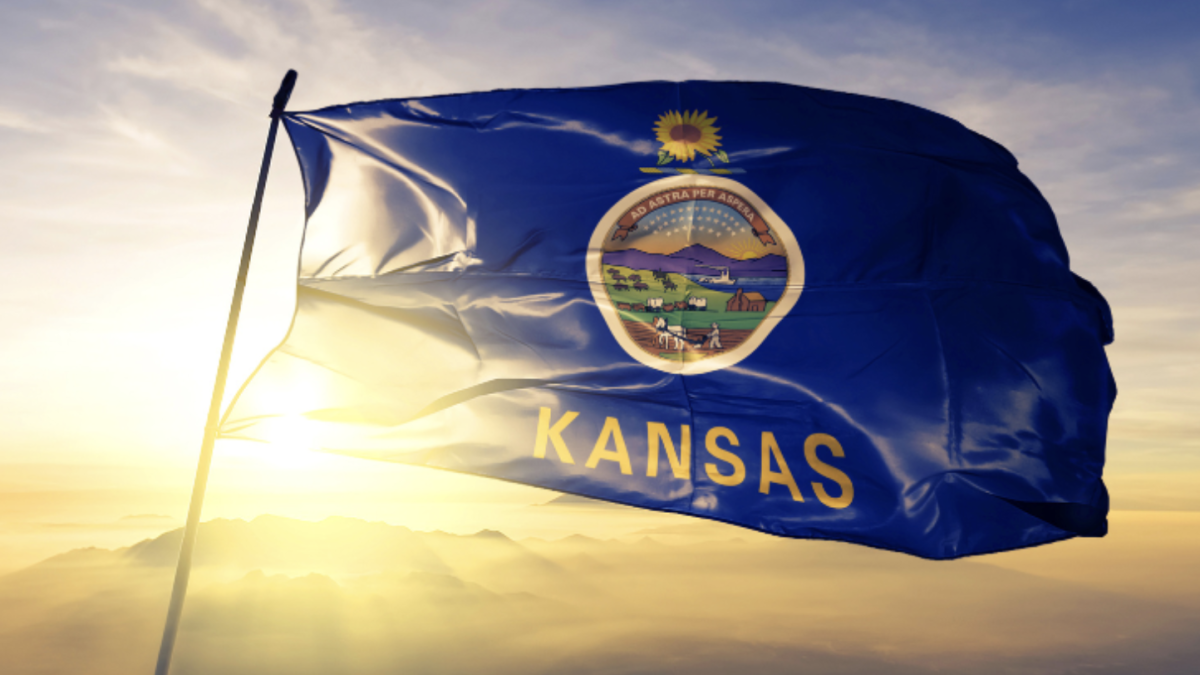 Updates on marijuana legalization by state in the United States