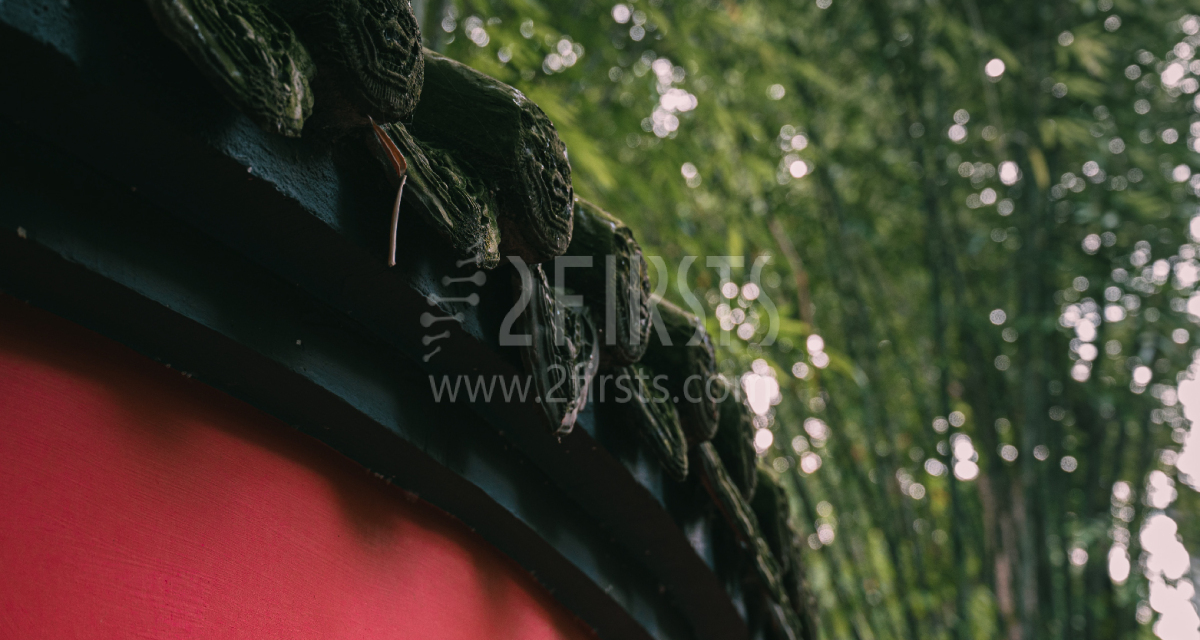 Let the World Enjoy the Savor of Sichuan - Exclusive with NGP Center of China Tobacco Sichuan