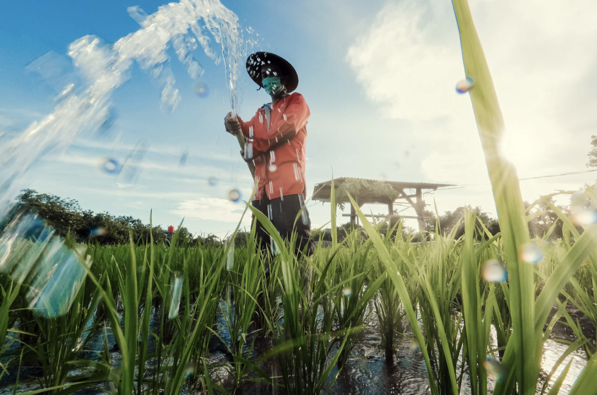 菲莫国际提出保护生物多样性目标