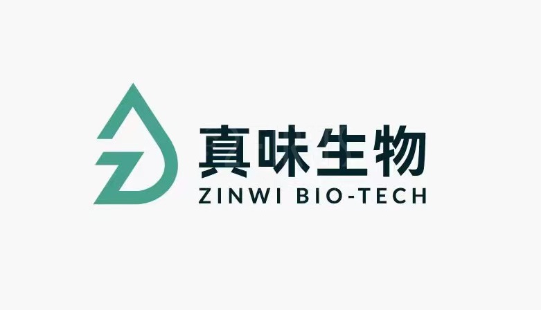 以新形象开创新市场  真味迈入全新发展阶段