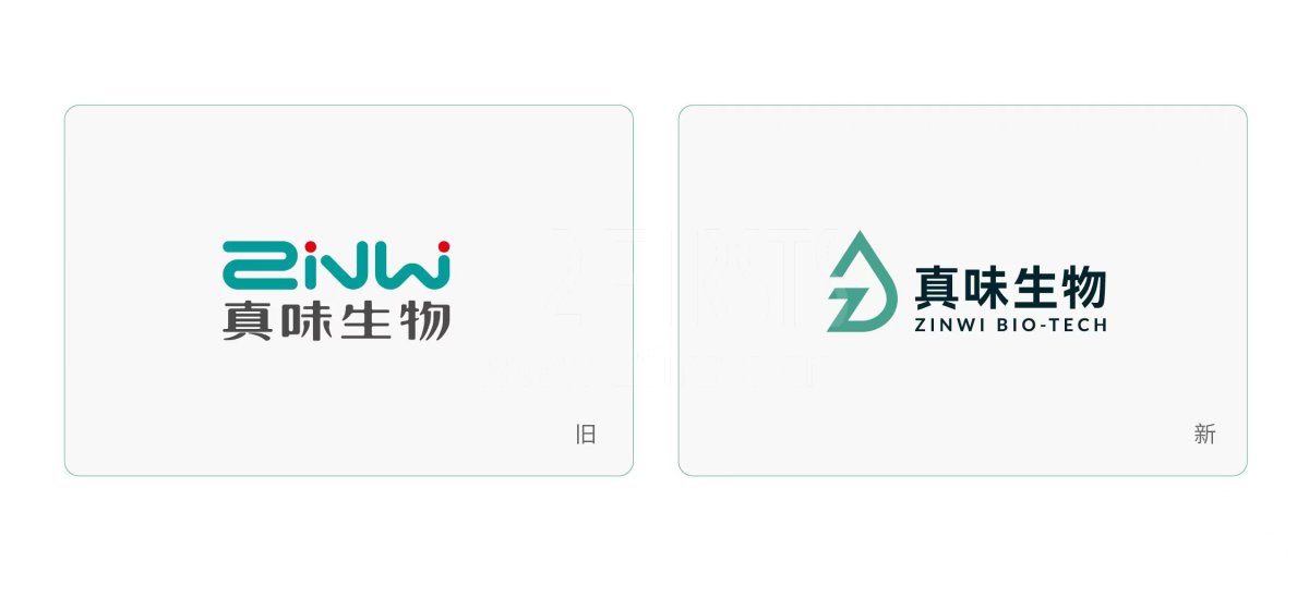 以新形象开创新市场 真味迈入全新发展阶段