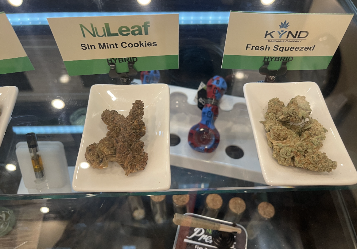 Scouting Around Las Vegas Hemp Store