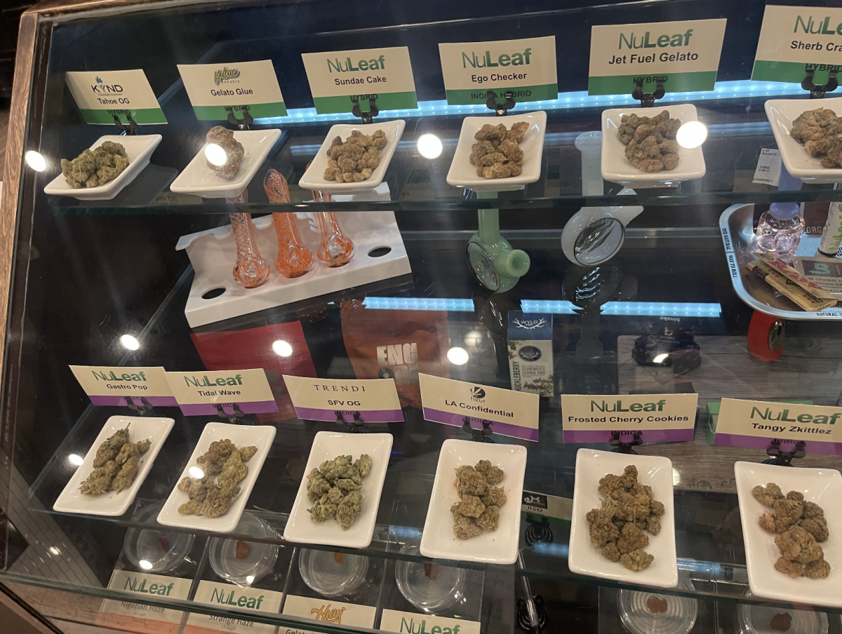 Scouting Around Las Vegas Hemp Store