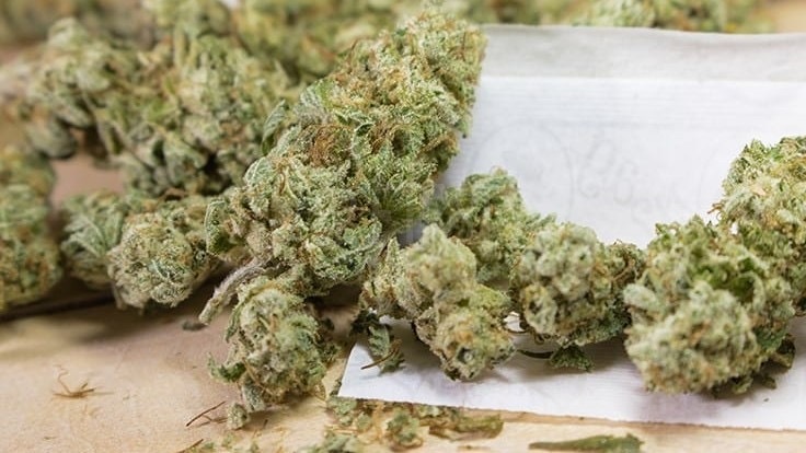 对话CBD品牌创始人：讲述美国大麻合法化历程【内附美国大麻合规发展史】