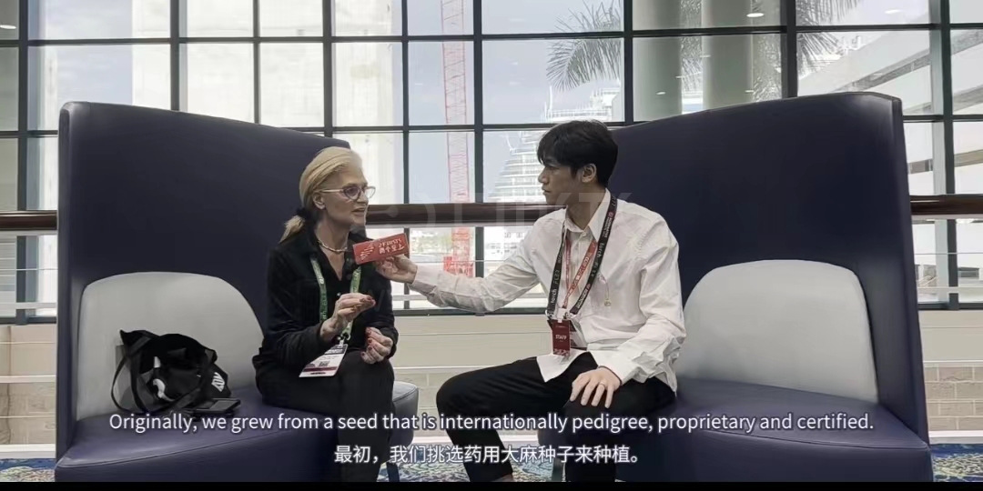 对话CBD品牌创始人:讲述美国大麻合法化历程【内附美国大麻合规发展史】