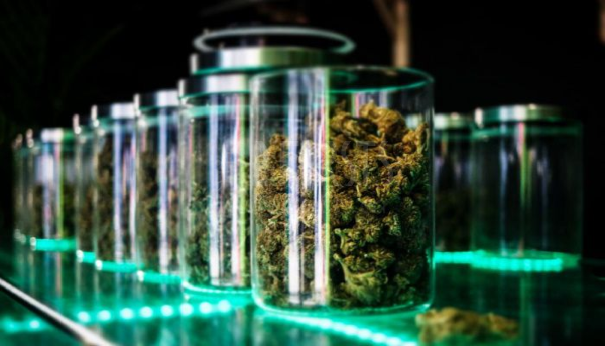 法国CBD市场规模达5亿欧元 拥有2000家零售店