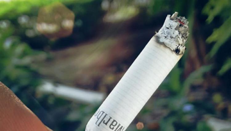 Campaña "Better Health Smoke Free": Educando a los adultos sobre el impacto del consumo de tabaco en los jóvenes.