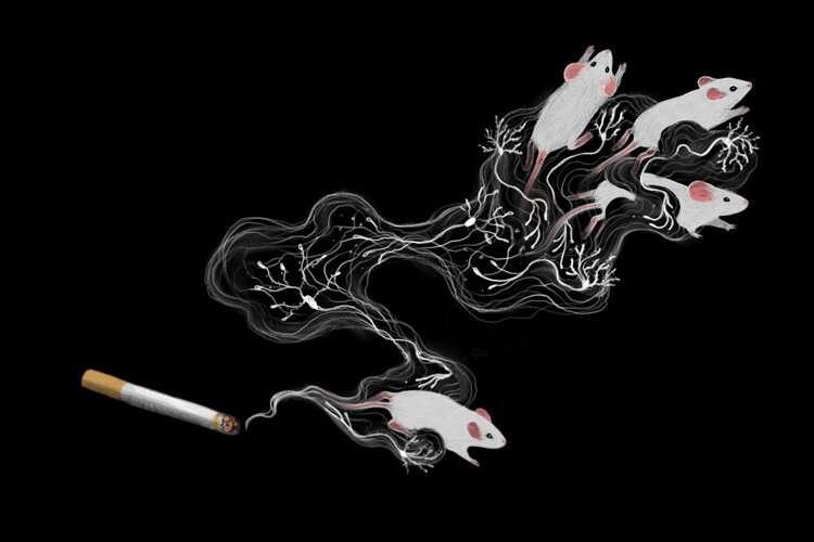 Nicotine Addiction: New Therapy Targeting Negative Effects
