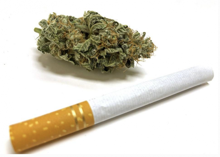 El consumo de marihuana supera el consumo de cigarrillos en los Estados Unidos.