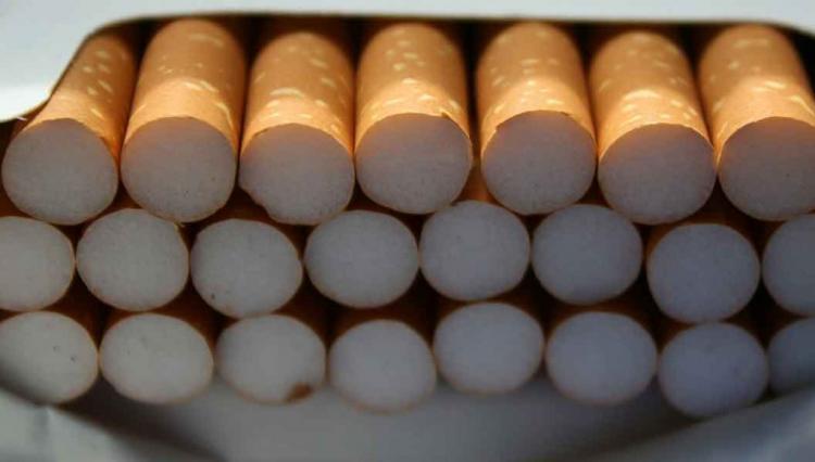El peligro de desechar las colillas de cigarrillos en el medio ambiente