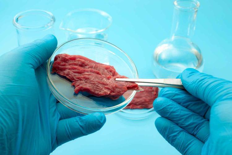 Compañía israelí utiliza tabaco para producir hamburguesas a base de plantas