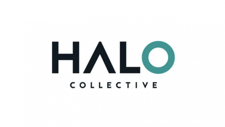 Halo Collection planea expandir el espacio minorista después de ventas récord
