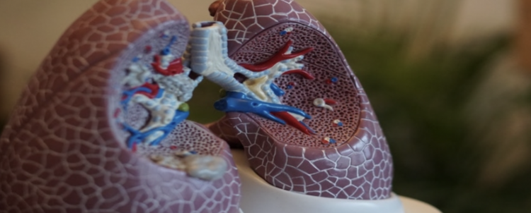 New Zealand Advocacy Group Refutes Claims of E-Cigarette Lung Damage