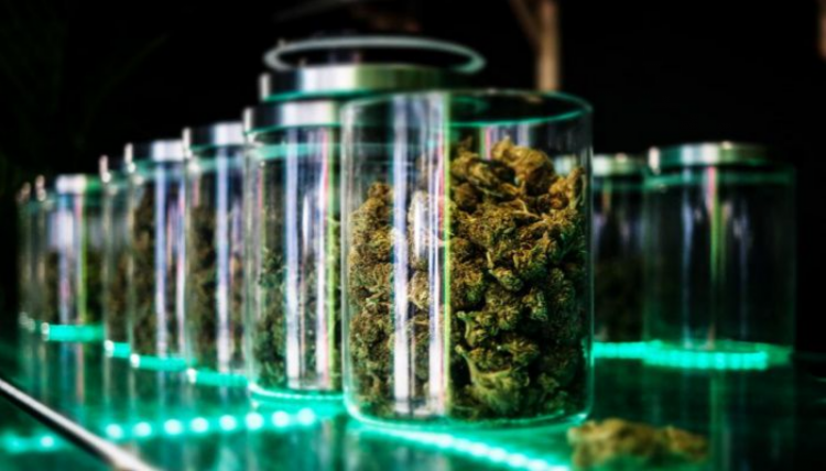 French CBD Market Shows Promising Growth Potential