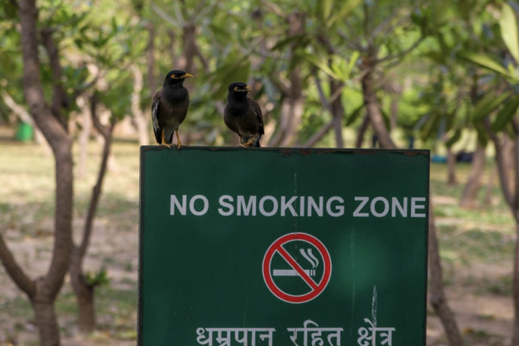 StopTobacco" App to Report Smoking in Public Places
