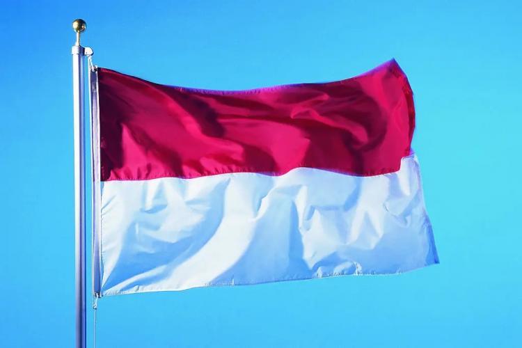 Nuevos productos de tabaco en Indonesia generan ingresos fiscales limitados