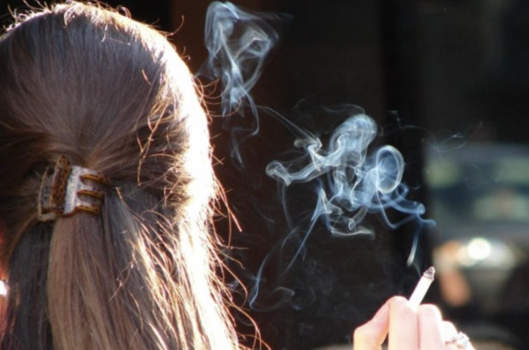 El gobierno holandés implementa medidas anti-tabaco más estrictas.