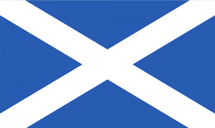 Scotland Considers Banning Disposable E-Cigarettes over Health and Environmental Concerns