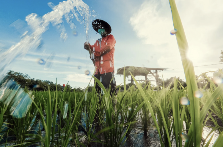PMI's Natural Protection Initiative and Goals