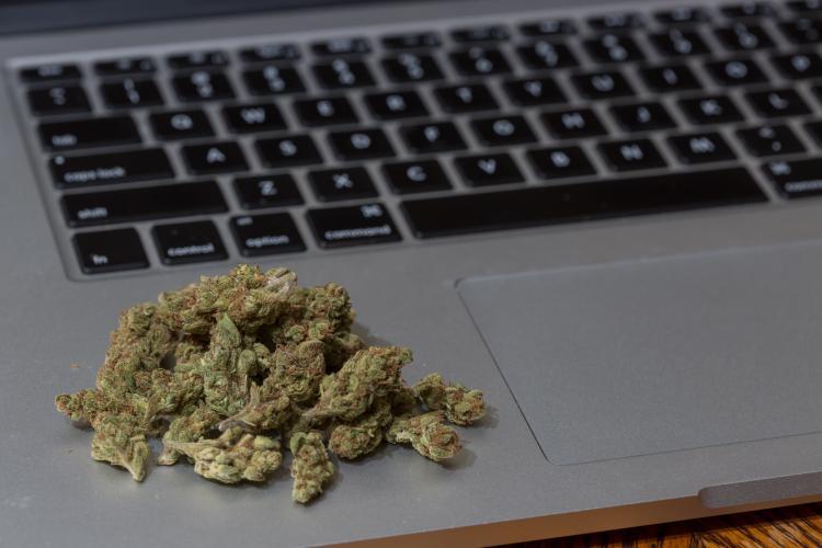 Google permitirá anuncios de cannabis y CBD en algunas regiones de los Estados Unidos.