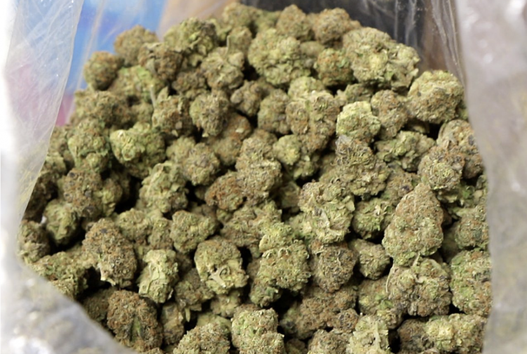 New York's first marijuana dispensary owned by housing group