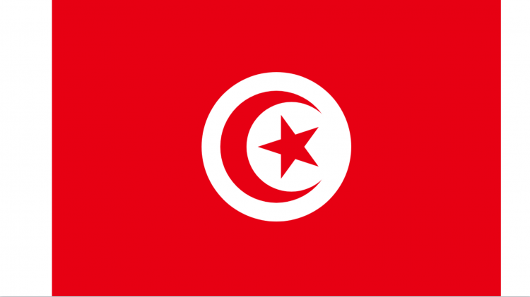 Tunisia drafts e-cigarette regulation to combat teen usage