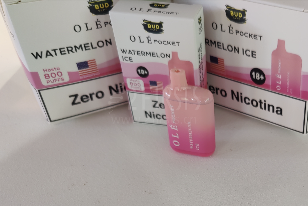 零尼应需而生 开放式与一次性此消彼长 西班牙市场能否崛起?