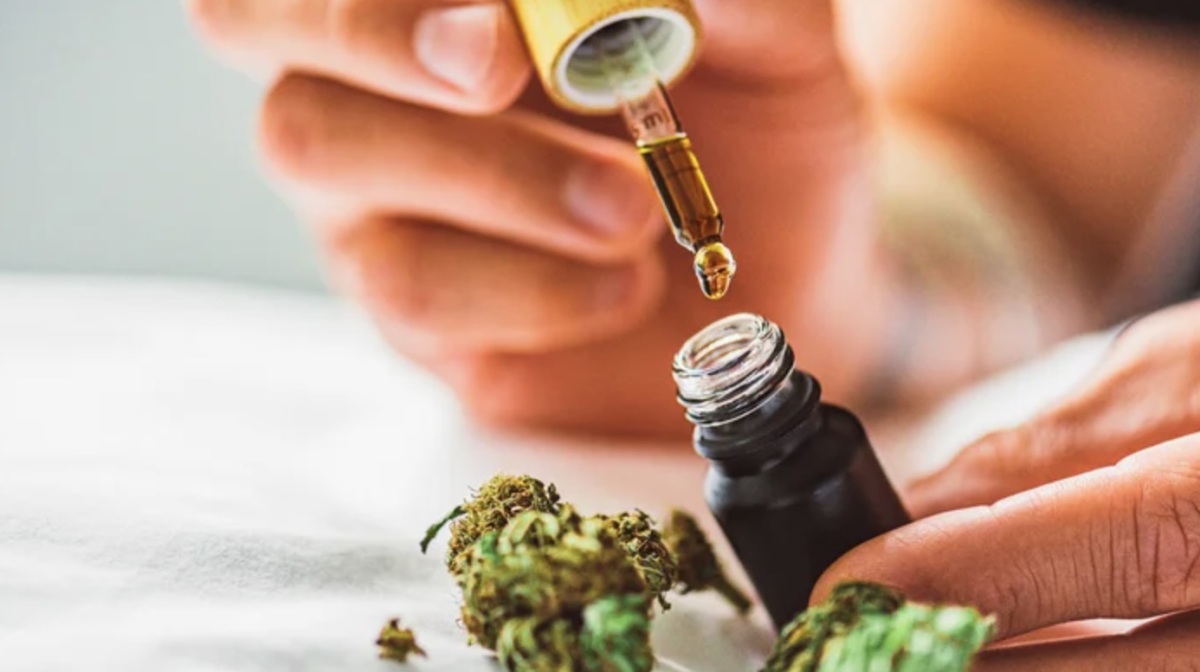 Exploring the CBD Job Opportunities in Chinese E-cigarette Companies.