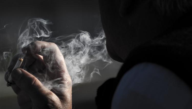 Visual Warning Signs: Revealing the Truth about Tobacco