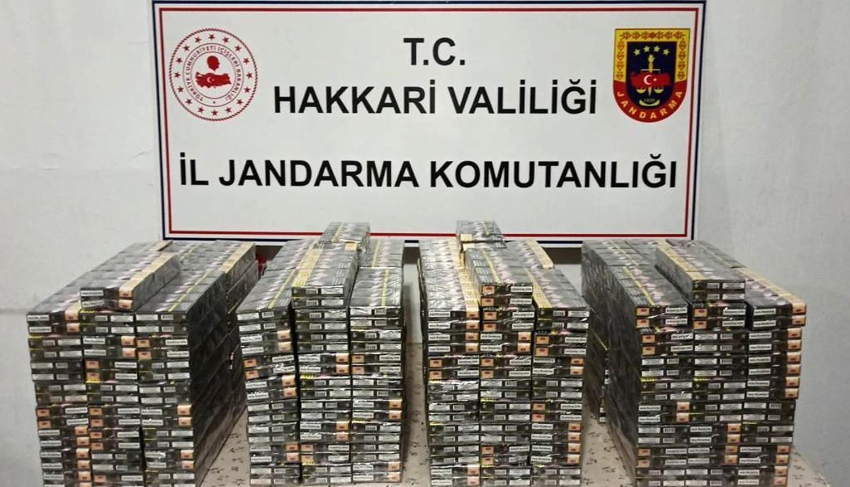Smuggling crackdown in Turkey's Hakari province leads to arrests