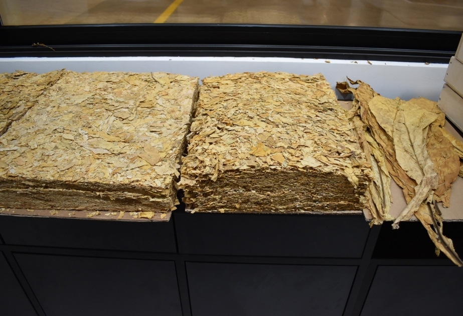 Azerbaijani Tobacco Factory Begins Production for Export to Italy