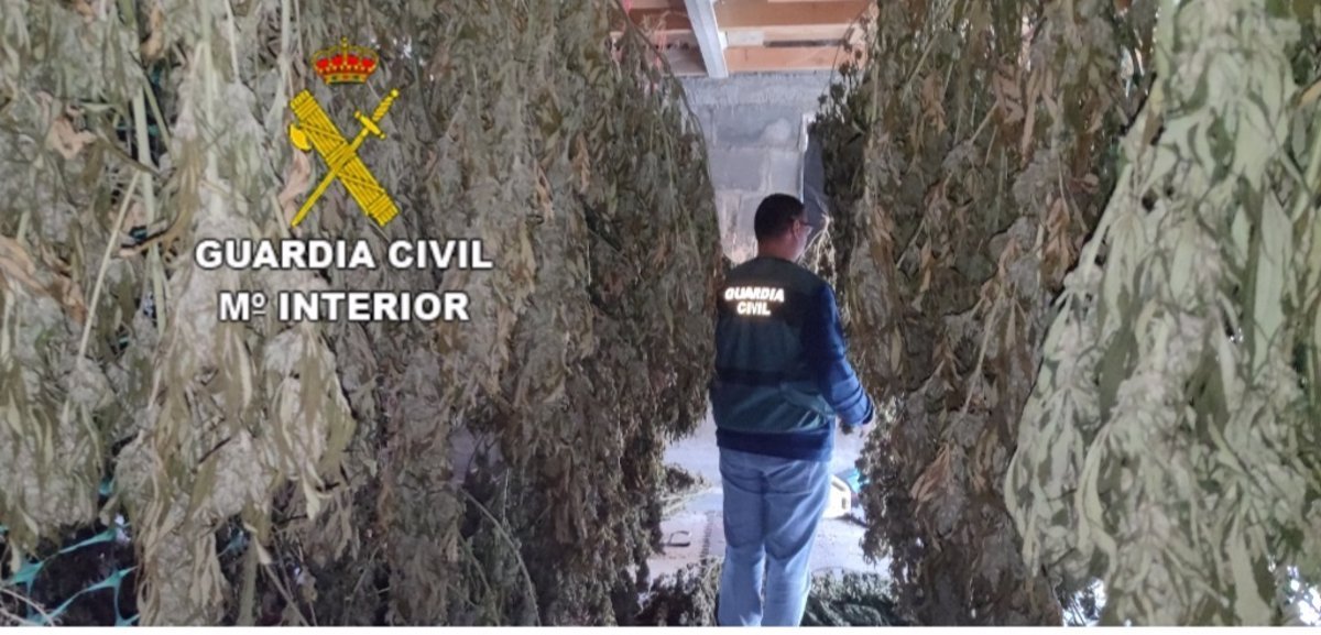 La Policía española arresta a dos personas por producción y distribución ilegal de cannabis.