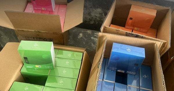 Ukrainian Authorities Seize Large Quantity of Illegal E-Cigarettes