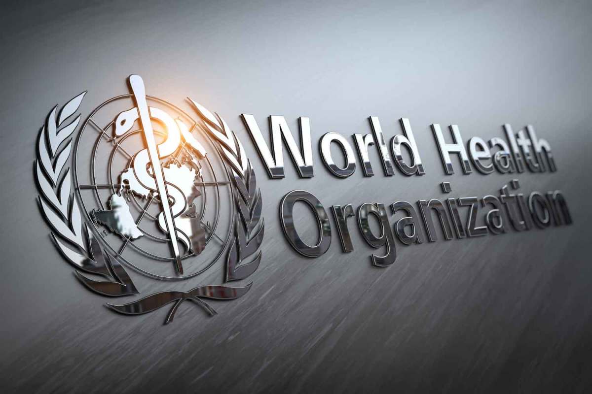 世卫组织官宣：COP10将于明年2月5日正式复会