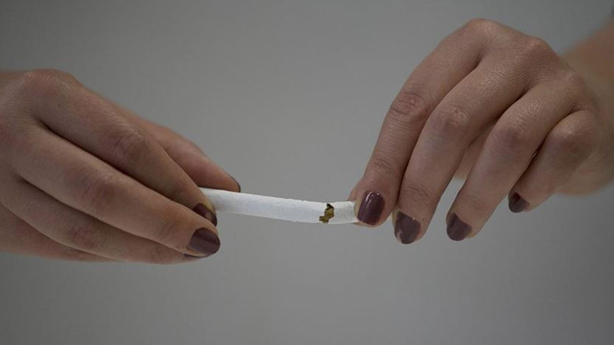 Turkish Tobacco Prices Surge, Reaching Record Highs